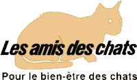 Click here to viswit the "Les amis des chats" web site